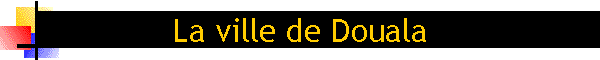 La ville de Douala